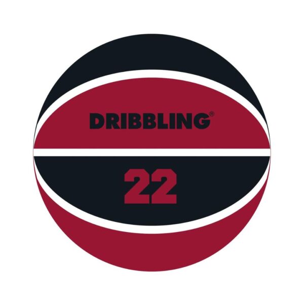 Pelota de Basquet Dribling Fama 21 Nº5
