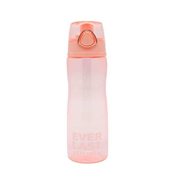 Botella Everlast