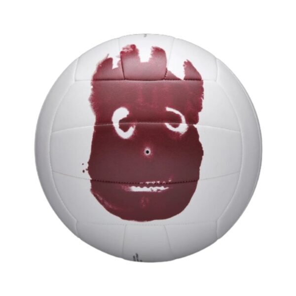 Pelota De Voley Wilson Castaway