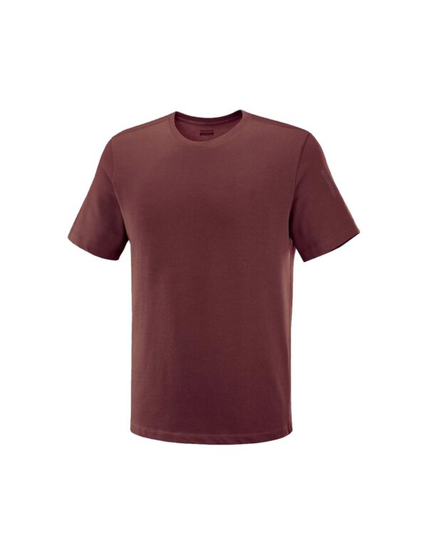 Remera Salomon Cotton SS Tee